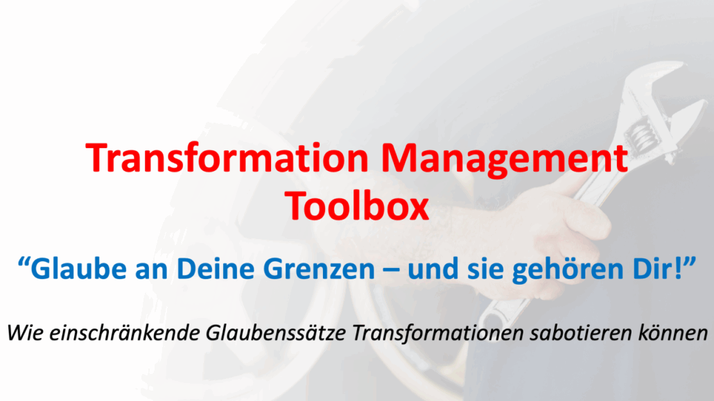 Transformation Managment Toolbox 