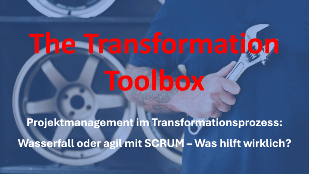 Projektmanagement im Transformationsprozess